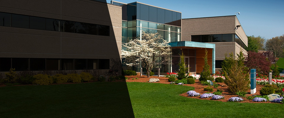 Lake Dallas Landscapers