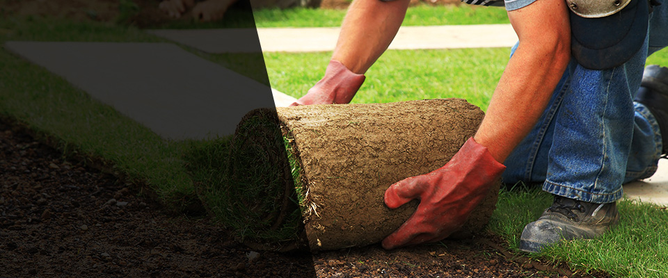 Lake Dallas Landscapers